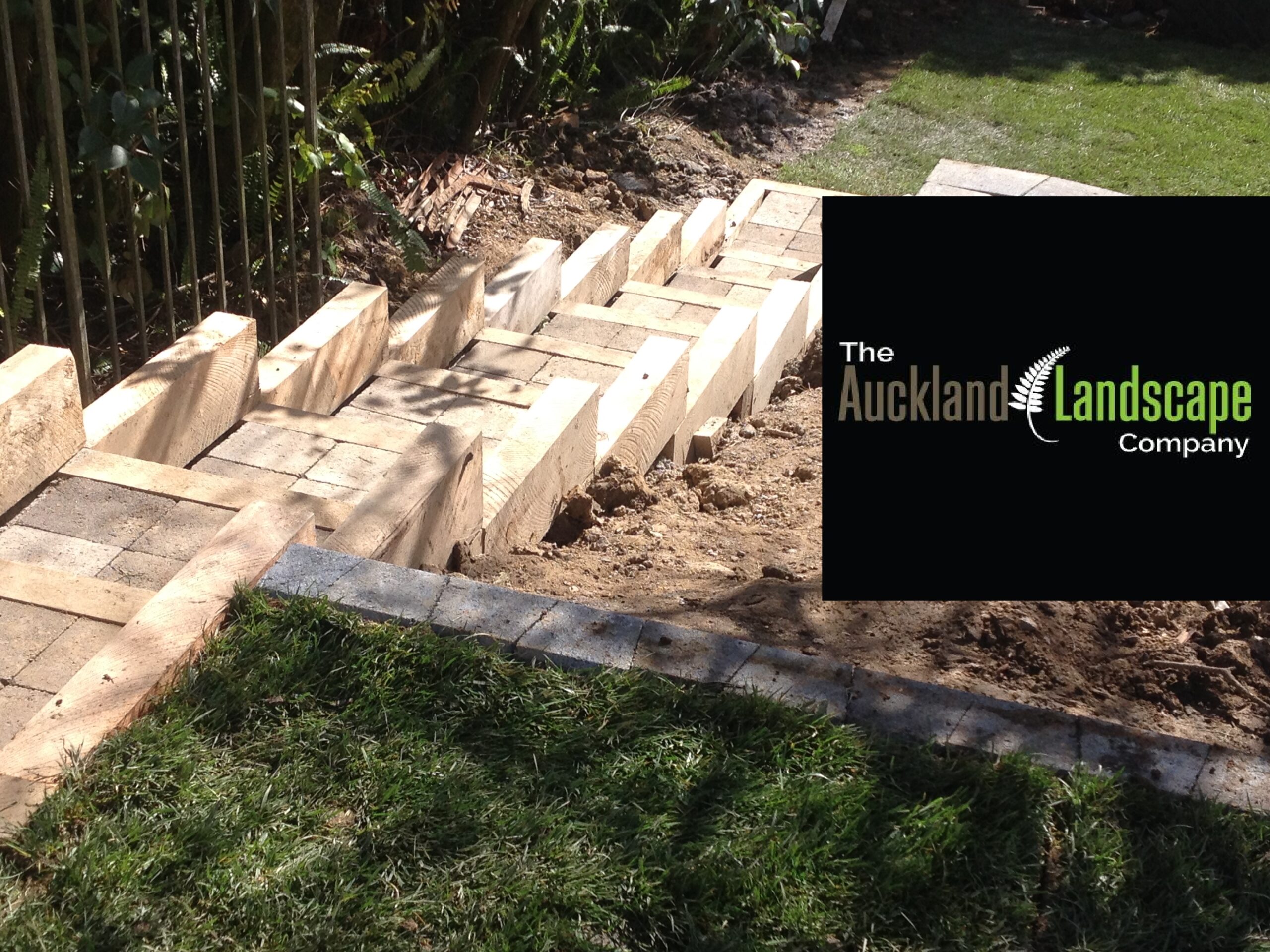 Timber steps The Auckland Landscape Company